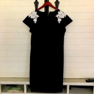 Ann Taylor Navy Aline Dress